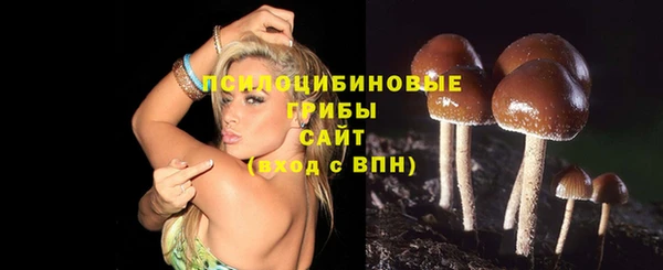 героин Алексин