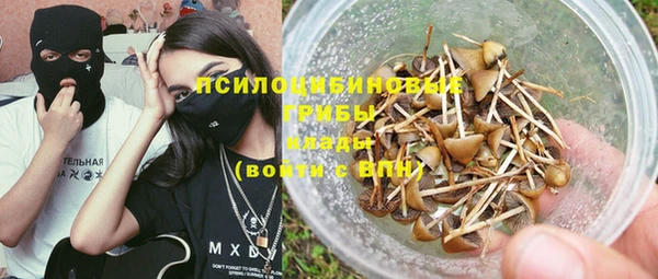 прущие крисы Абаза
