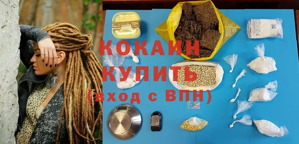 прущие крисы Абаза