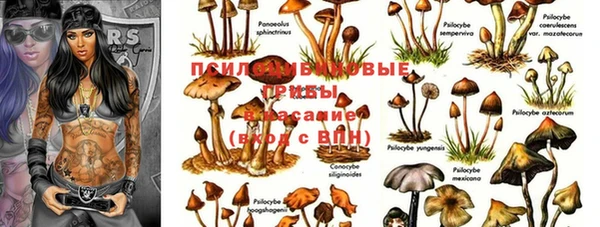 не бодяженный Алексеевка