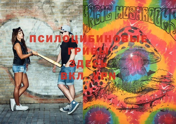 прущие крисы Абаза