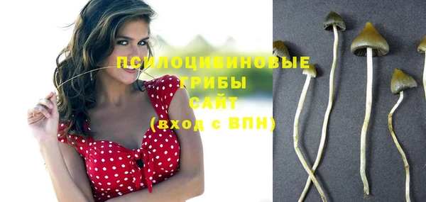 бошки Абинск