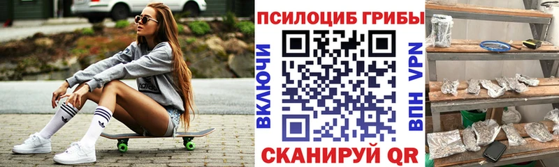 Галлюциногенные грибы Psilocybine cubensis  omg рабочий сайт  Зубцов  сколько стоит 