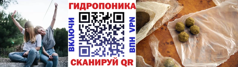МАРИХУАНА планчик  Зубцов 